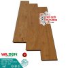 Sàn Gỗ Laminate Wilson 12mm công nghệ Đức 817