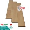 Sàn Gỗ Laminate Wilson 12mm công nghệ Đức 820