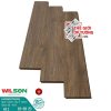 Sàn Gỗ Laminate Wilson 12mm công nghệ Đức 812