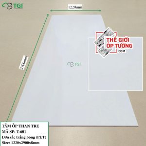 Ốp tường than tre TGI chính hãng giá tốt T601