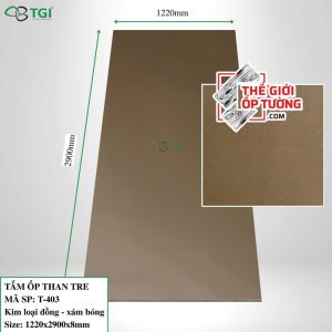 Ốp tường than tre TGI chính hãng giá tốt T403