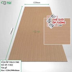 Ốp tường than tre TGI chính hãng giá tốt T822