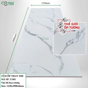 Ốp tường than tre TGI chính hãng giá tốt T501